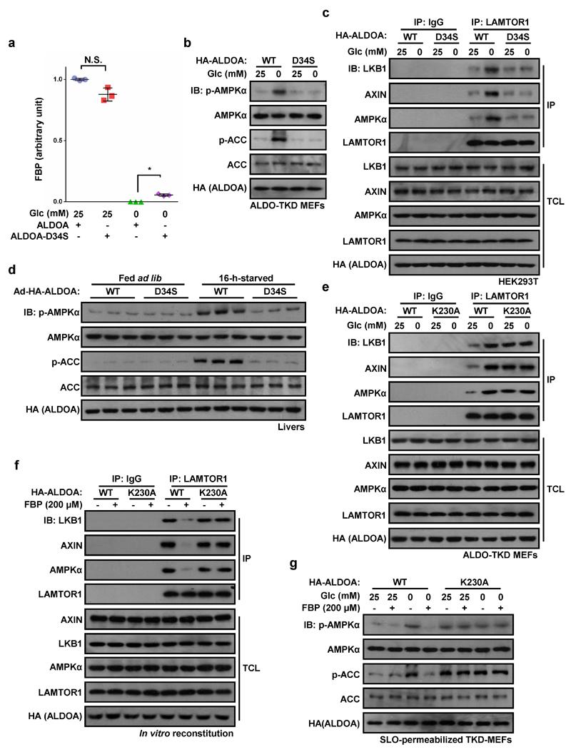 https://cdn.ncbi.nlm.nih.gov/pmc/blobs/cc64/5544942/d126dc3a65c0/emss-73130-f012.jpg