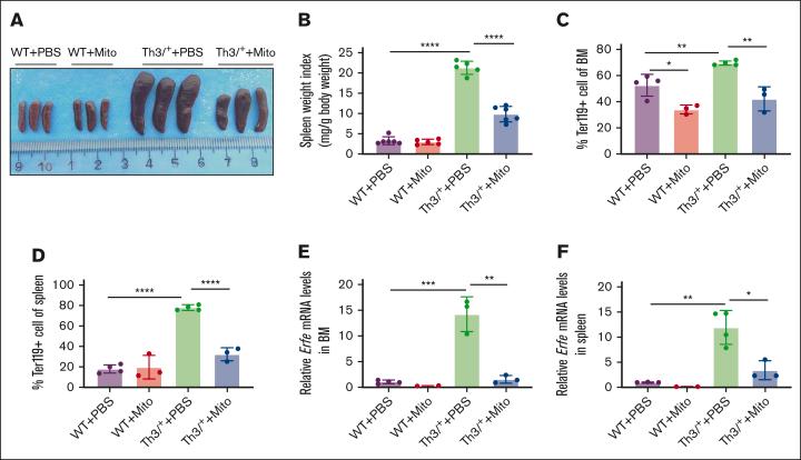 https://cdn.ncbi.nlm.nih.gov/pmc/blobs/cc65/11339037/a98dde78ca9b/BLOODA_ADV-2024-012679-gr2.jpg