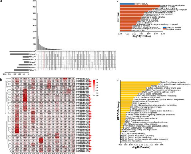 https://cdn.ncbi.nlm.nih.gov/pmc/blobs/cc66/11177356/ab920dc39f0c/12870_2024_5230_Fig1_HTML.jpg