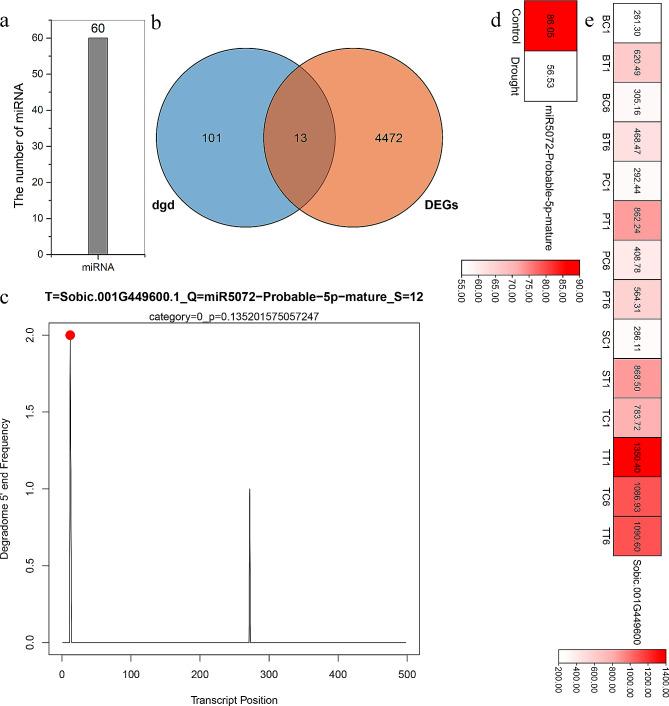 https://cdn.ncbi.nlm.nih.gov/pmc/blobs/cc66/11177356/c1c4e93f2eda/12870_2024_5230_Fig2_HTML.jpg