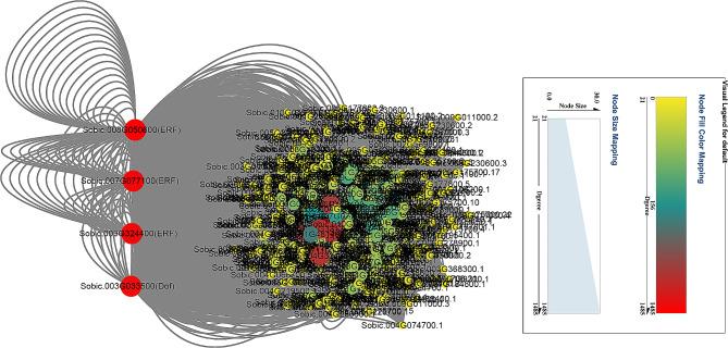 https://cdn.ncbi.nlm.nih.gov/pmc/blobs/cc66/11177356/c2311a6234c4/12870_2024_5230_Fig3_HTML.jpg