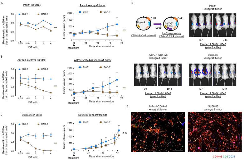 https://cdn.ncbi.nlm.nih.gov/pmc/blobs/cc66/12259638/21bc46c9c255/fimmu-16-1506204-g004.jpg