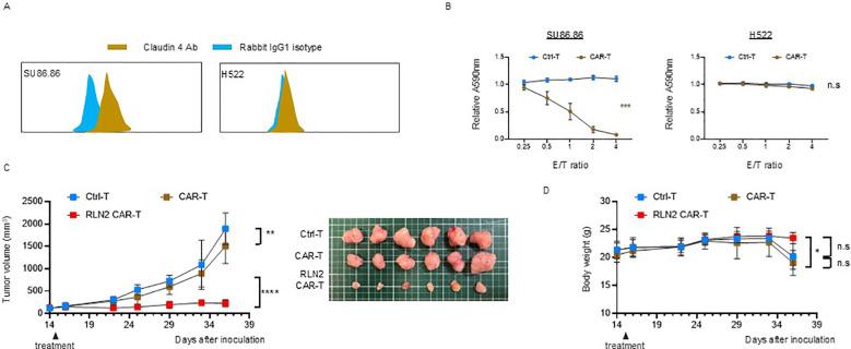 https://cdn.ncbi.nlm.nih.gov/pmc/blobs/cc66/12259638/a351a9e8fcfc/fimmu-16-1506204-g006.jpg
