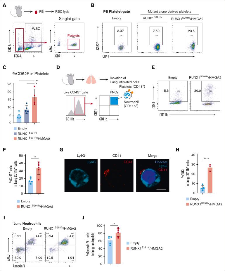 https://cdn.ncbi.nlm.nih.gov/pmc/blobs/cc66/12320400/e8ccae2541ab/BVTH_VTH-2023-000110-gr5.jpg