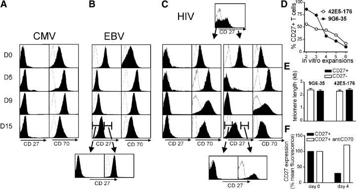 https://cdn.ncbi.nlm.nih.gov/pmc/blobs/cc66/2211945/45b1de9ab2b6/20040717f2.jpg