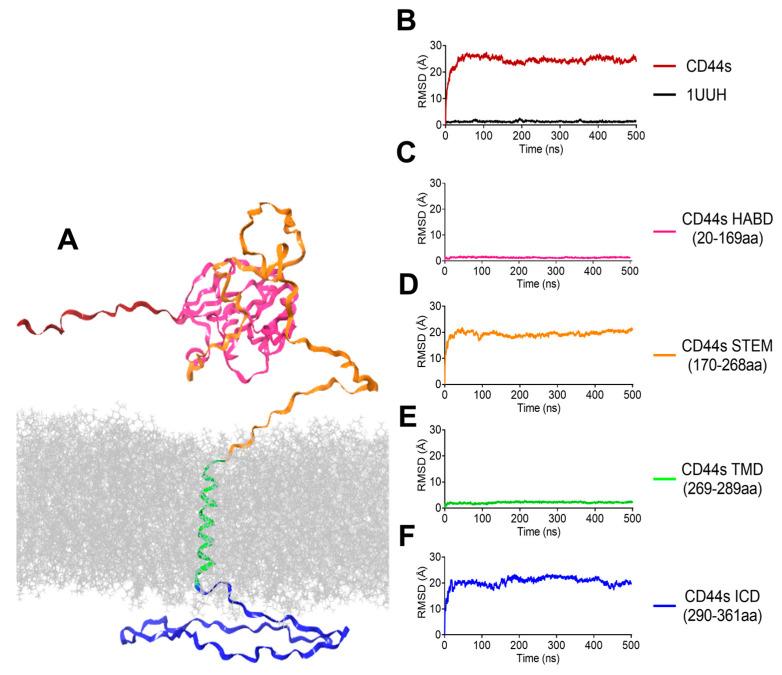 https://cdn.ncbi.nlm.nih.gov/pmc/blobs/cc69/10376988/68841de9435c/biomolecules-13-01047-g004.jpg