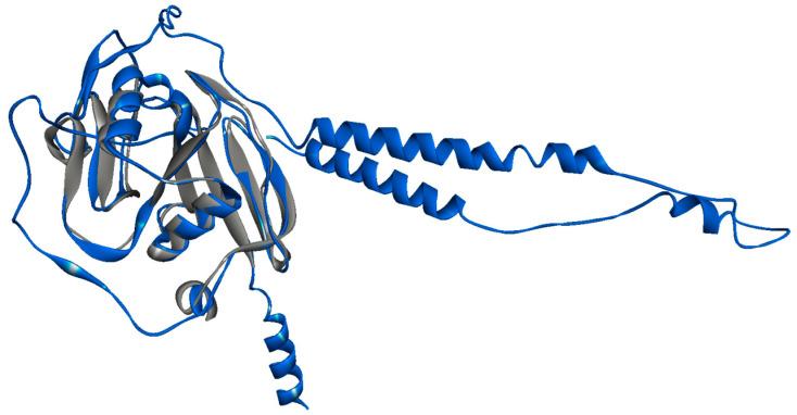 https://cdn.ncbi.nlm.nih.gov/pmc/blobs/cc69/10376988/ff280e754a37/biomolecules-13-01047-g001.jpg