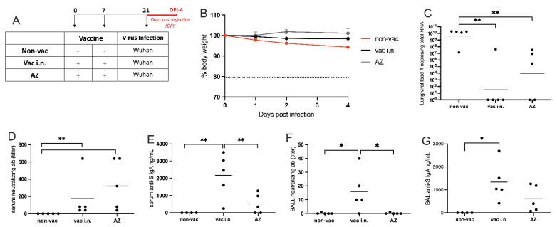 https://cdn.ncbi.nlm.nih.gov/pmc/blobs/cc69/10675295/2bb1ea27dd23/vaccines-11-01732-g005.jpg