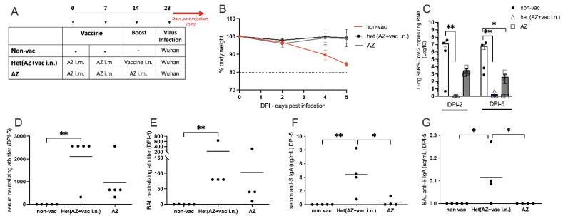 https://cdn.ncbi.nlm.nih.gov/pmc/blobs/cc69/10675295/3bd4247201a2/vaccines-11-01732-g006.jpg