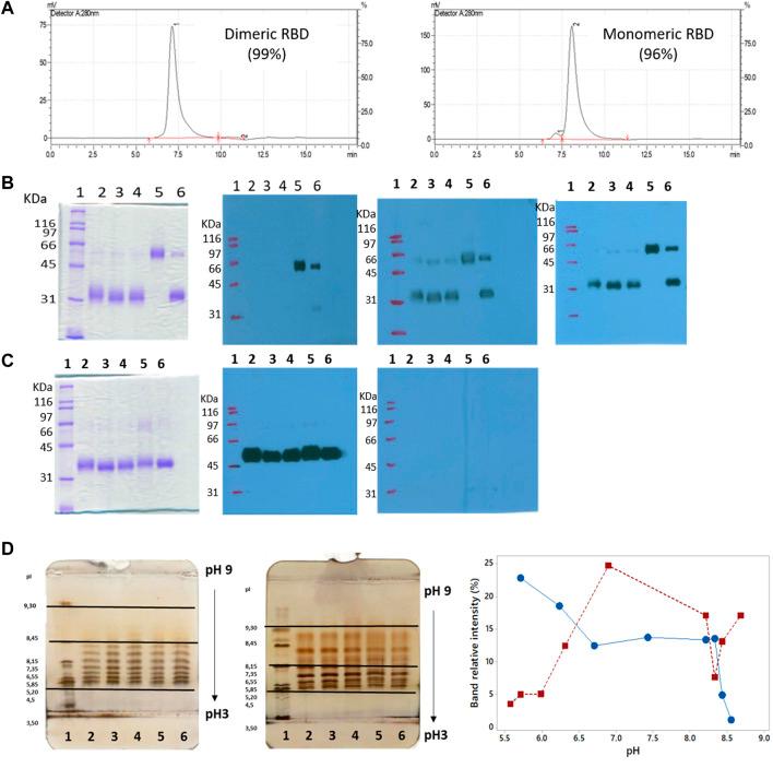 https://cdn.ncbi.nlm.nih.gov/pmc/blobs/cc69/10693982/747dda19628d/fbioe-11-1287551-g009.jpg
