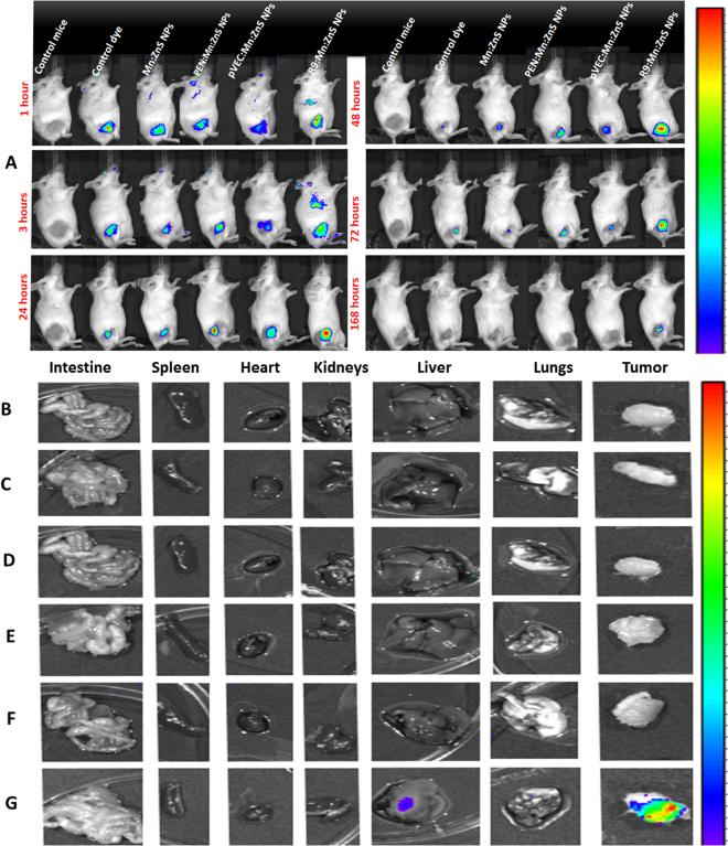 https://cdn.ncbi.nlm.nih.gov/pmc/blobs/cc69/5789852/2c1edfcf81f6/41598_2018_20255_Fig6_HTML.jpg