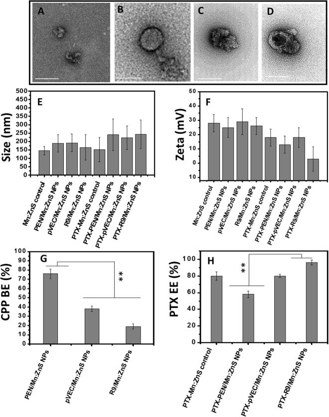 https://cdn.ncbi.nlm.nih.gov/pmc/blobs/cc69/5789852/c17500ef36d1/41598_2018_20255_Fig2_HTML.jpg
