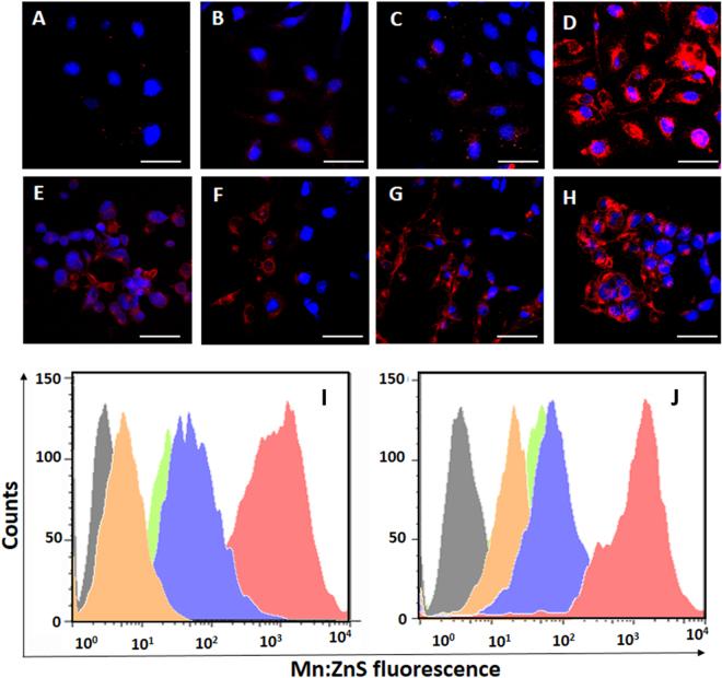 https://cdn.ncbi.nlm.nih.gov/pmc/blobs/cc69/5789852/e4a740be0080/41598_2018_20255_Fig3_HTML.jpg