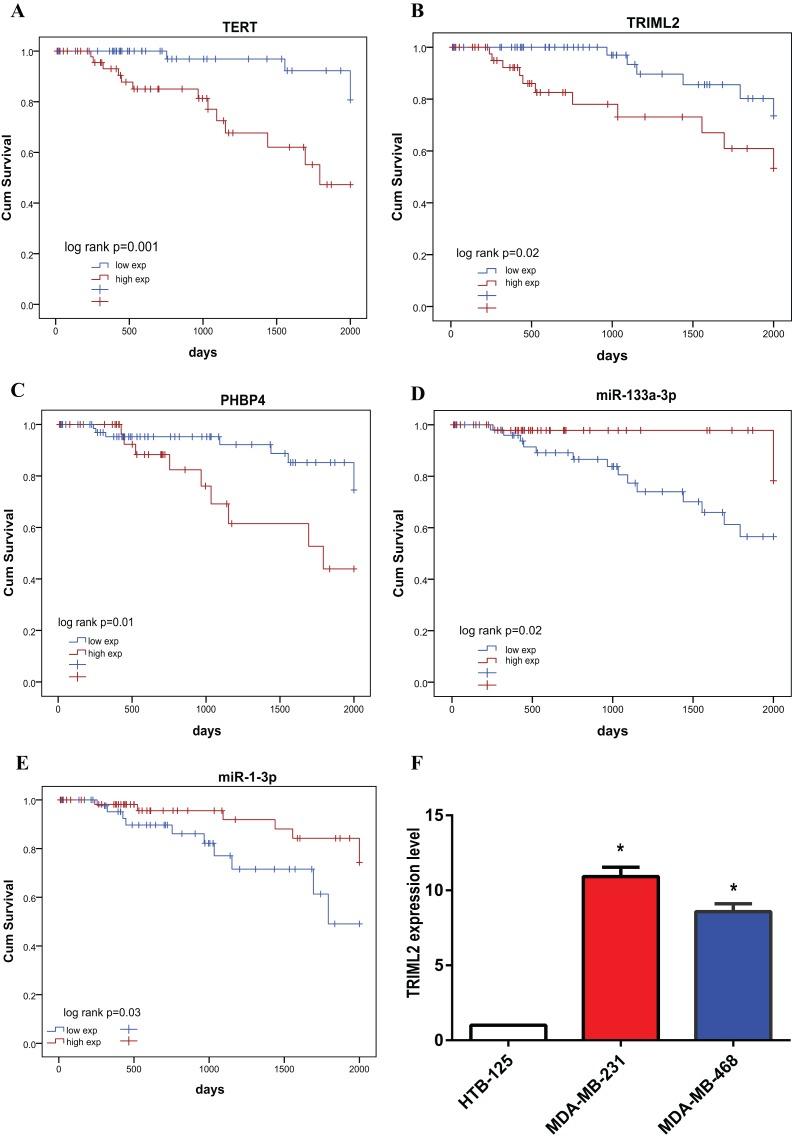 https://cdn.ncbi.nlm.nih.gov/pmc/blobs/cc69/6741283/40433af4320a/peerj-07-7522-g006.jpg