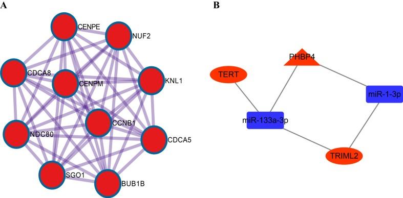 https://cdn.ncbi.nlm.nih.gov/pmc/blobs/cc69/6741283/4820af7f060e/peerj-07-7522-g005.jpg