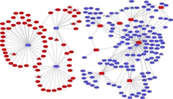 https://cdn.ncbi.nlm.nih.gov/pmc/blobs/cc69/6741283/84b70722f406/peerj-07-7522-g003.jpg