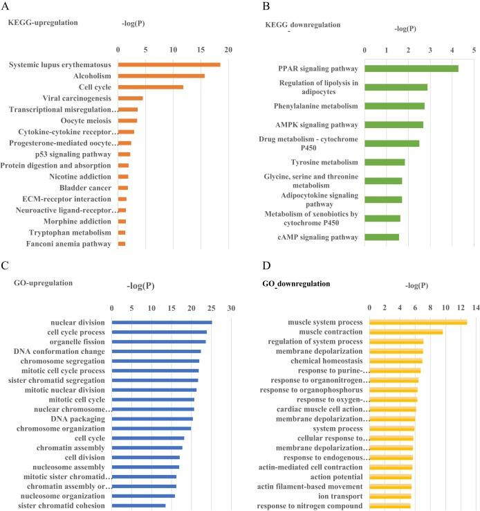 https://cdn.ncbi.nlm.nih.gov/pmc/blobs/cc69/6741283/f5a507bf9c80/peerj-07-7522-g002.jpg