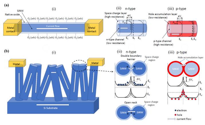 https://cdn.ncbi.nlm.nih.gov/pmc/blobs/cc69/7694983/02fc10bb7d65/nanomaterials-10-02215-g005.jpg
