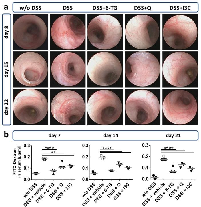 https://cdn.ncbi.nlm.nih.gov/pmc/blobs/cc69/7956562/e0c737ac6df0/ijerph-18-02262-g004.jpg