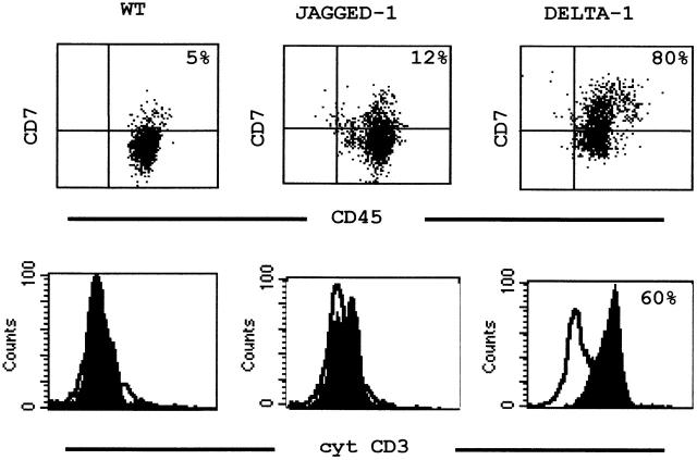 https://cdn.ncbi.nlm.nih.gov/pmc/blobs/cc6a/2193482/47bead2fde42/JEM010844.f3.jpg