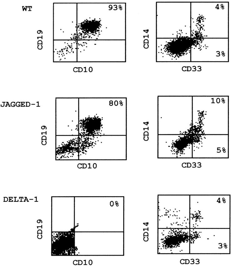https://cdn.ncbi.nlm.nih.gov/pmc/blobs/cc6a/2193482/4e957f4400bb/JEM010844.f2.jpg