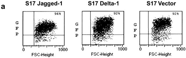 https://cdn.ncbi.nlm.nih.gov/pmc/blobs/cc6a/2193482/f710cd5d62dd/JEM010844.f1a.jpg