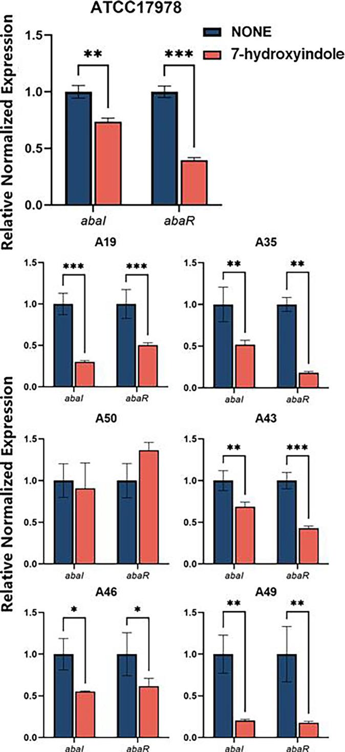https://cdn.ncbi.nlm.nih.gov/pmc/blobs/cc6b/12073863/23d8c01616df/spectrum.03388-24.f010.jpg