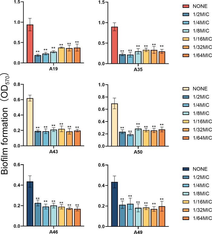 https://cdn.ncbi.nlm.nih.gov/pmc/blobs/cc6b/12073863/b307998c6268/spectrum.03388-24.f005.jpg