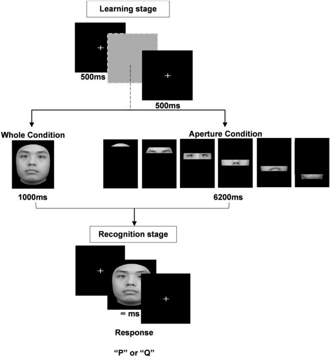 https://cdn.ncbi.nlm.nih.gov/pmc/blobs/cc6c/10558561/4a53ff2f902b/41598_2023_44164_Fig1_HTML.jpg