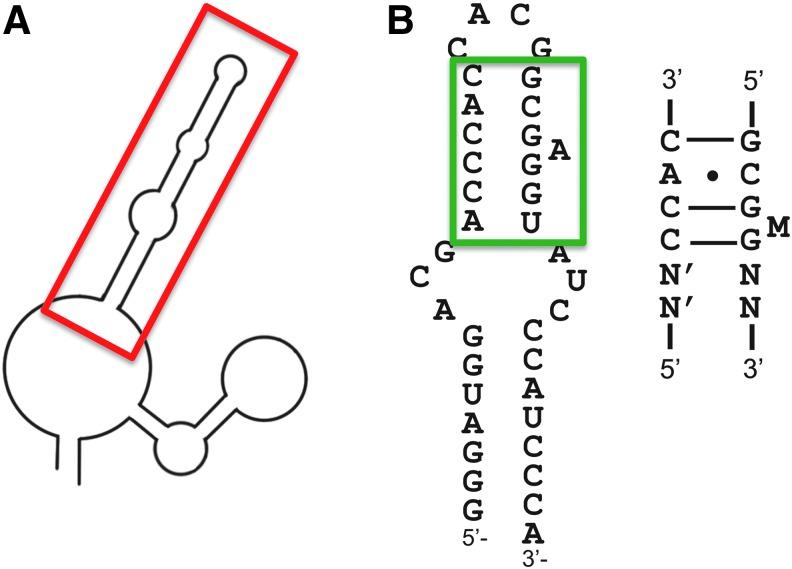 https://cdn.ncbi.nlm.nih.gov/pmc/blobs/cc6e/4753637/9497a21aeae7/fig-13.jpg