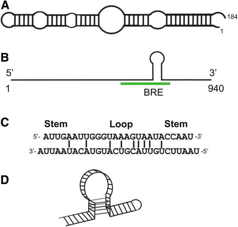 https://cdn.ncbi.nlm.nih.gov/pmc/blobs/cc6e/4753637/ab65513a3568/fig-3.jpg