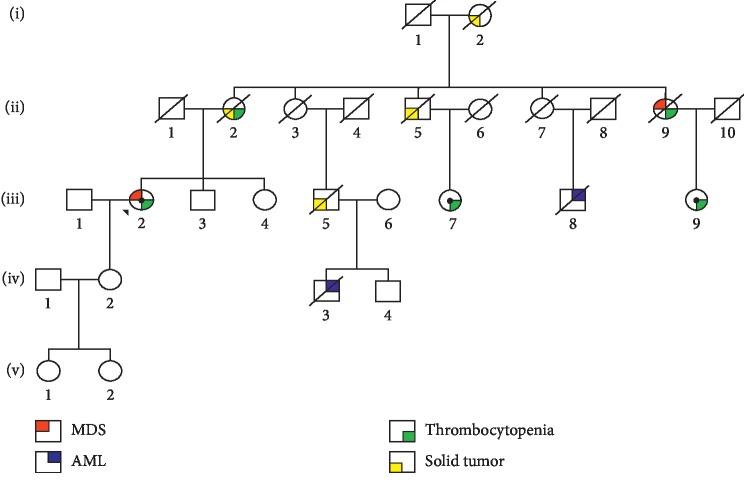 https://cdn.ncbi.nlm.nih.gov/pmc/blobs/cc6f/7057007/487d79de76d7/CRIHEM2020-2795656.001.jpg