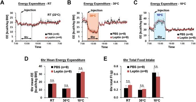 https://cdn.ncbi.nlm.nih.gov/pmc/blobs/cc70/5953538/30ed96ebe375/elife-33505-fig3.jpg