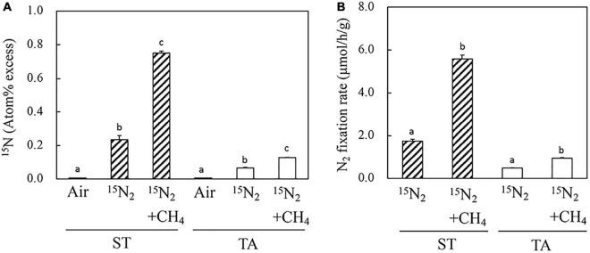 https://cdn.ncbi.nlm.nih.gov/pmc/blobs/cc70/9036440/ba1cec1fab2a/fmicb-13-851424-g002.jpg