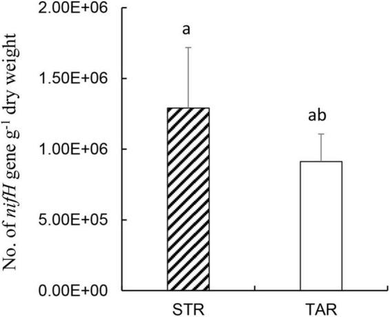 https://cdn.ncbi.nlm.nih.gov/pmc/blobs/cc70/9036440/c0d6553dfd19/fmicb-13-851424-g005.jpg