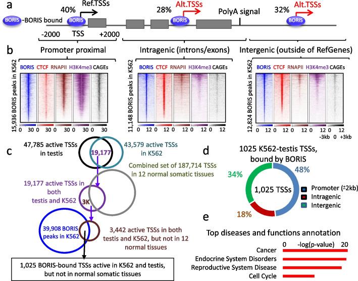 https://cdn.ncbi.nlm.nih.gov/pmc/blobs/cc71/10832218/5871deacc84f/13059_2024_3175_Fig2_HTML.jpg