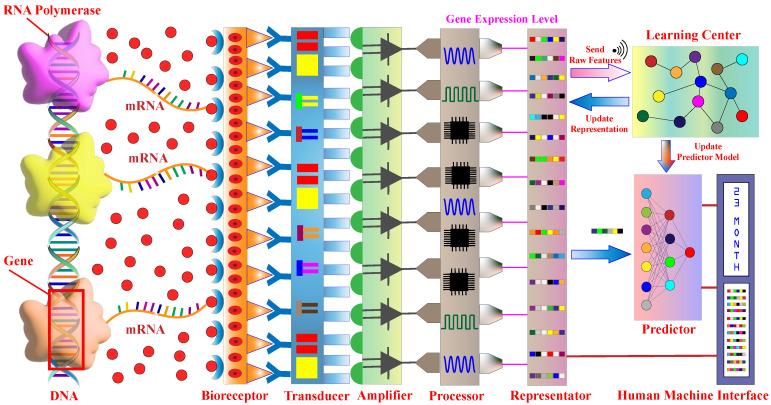 https://cdn.ncbi.nlm.nih.gov/pmc/blobs/cc72/11174864/e473042e86bc/sensors-24-03289-g001.jpg
