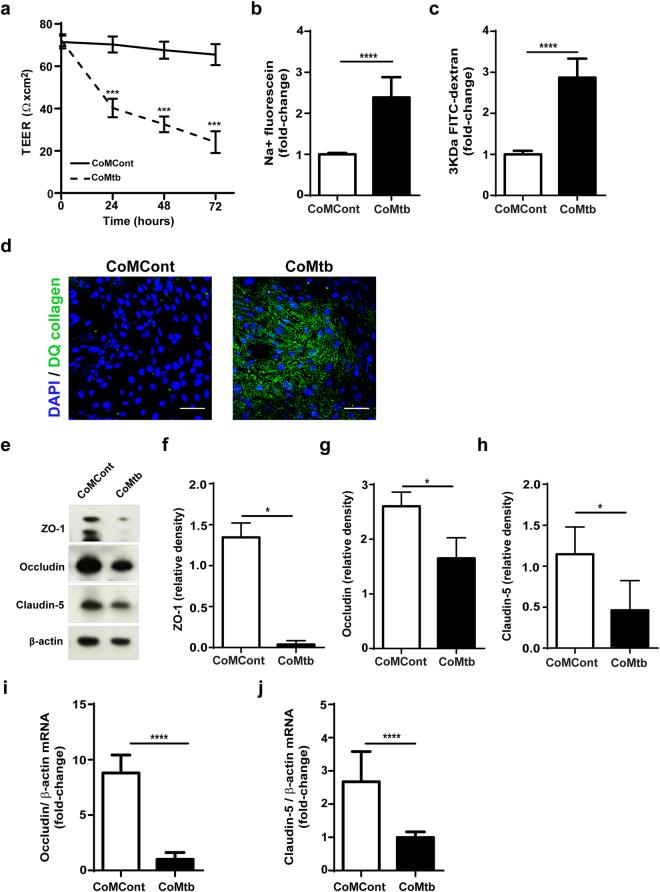 https://cdn.ncbi.nlm.nih.gov/pmc/blobs/cc73/5700087/ca6709127971/41598_2017_16250_Fig1_HTML.jpg