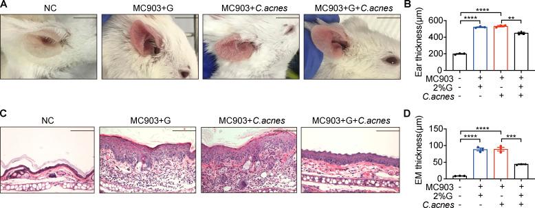 https://cdn.ncbi.nlm.nih.gov/pmc/blobs/cc77/9375142/ce812d983ecc/JEM_20212397_FigS3.jpg