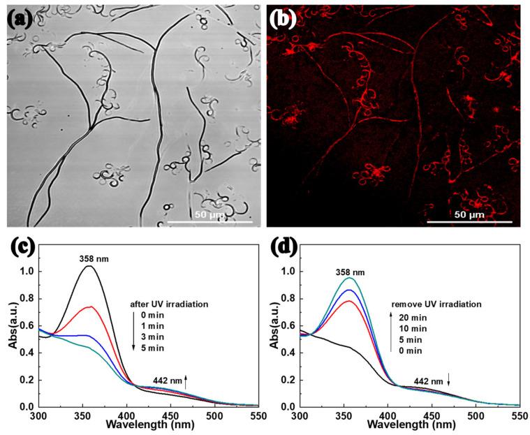 https://cdn.ncbi.nlm.nih.gov/pmc/blobs/cc77/9739974/435145c852ed/molecules-27-08165-g004.jpg