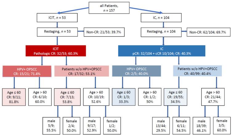 https://cdn.ncbi.nlm.nih.gov/pmc/blobs/cc79/8073509/85a324a4ec67/cancers-13-01959-g001.jpg