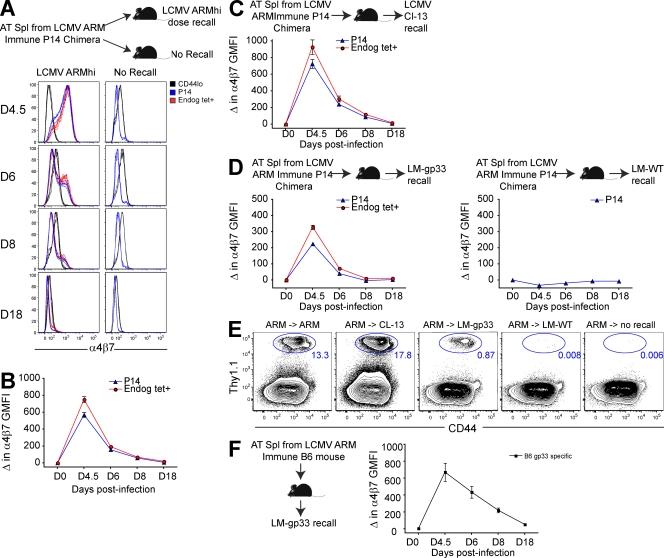 https://cdn.ncbi.nlm.nih.gov/pmc/blobs/cc7a/2839151/684f834c488e/JEM_20090858_RGB_Fig2.jpg