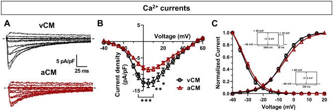 https://cdn.ncbi.nlm.nih.gov/pmc/blobs/cc81/10673932/bd8c86778681/41598_2023_47310_Fig3_HTML.jpg