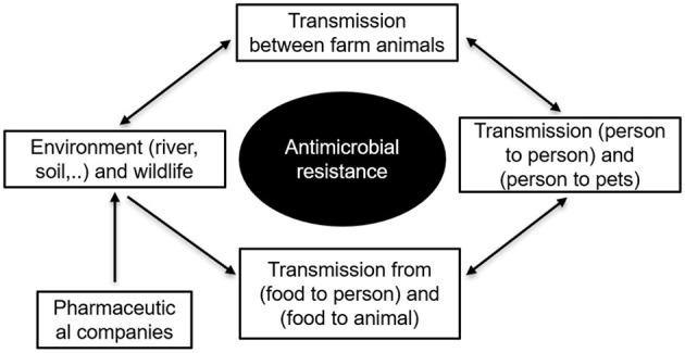 https://cdn.ncbi.nlm.nih.gov/pmc/blobs/cc82/12149124/9bc37072a354/fmicb-16-1542472-g0002.jpg