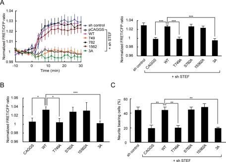 https://cdn.ncbi.nlm.nih.gov/pmc/blobs/cc83/3093328/5c8647c43d78/1780fig7.jpg