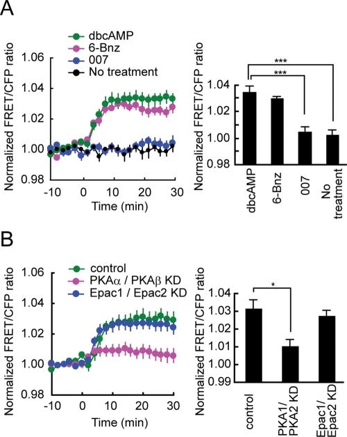https://cdn.ncbi.nlm.nih.gov/pmc/blobs/cc83/3093328/bfade2a22d27/1780fig3.jpg