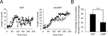 https://cdn.ncbi.nlm.nih.gov/pmc/blobs/cc83/3093328/c8ff05d4a986/1780fig2.jpg