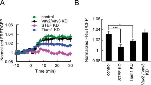 https://cdn.ncbi.nlm.nih.gov/pmc/blobs/cc83/3093328/cdc4721005f7/1780fig4.jpg