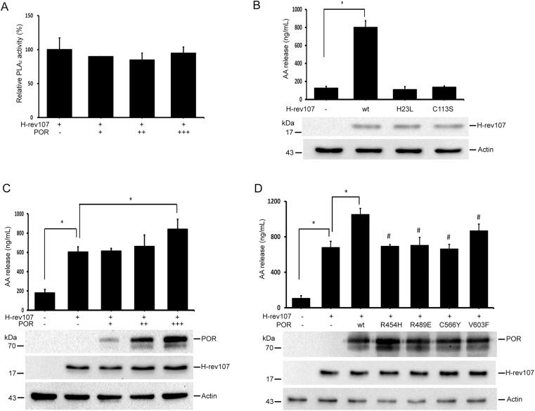 https://cdn.ncbi.nlm.nih.gov/pmc/blobs/cc84/4575093/e56a2d217b7b/pone.0138586.g002.jpg
