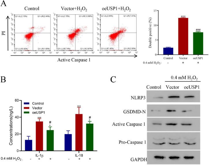 https://cdn.ncbi.nlm.nih.gov/pmc/blobs/cc84/9716302/c0f079c9876a/JMNI-22-536-g004.jpg